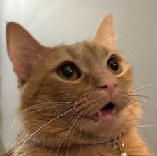 Em