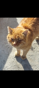 miha's reading slump