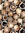 Cat45 | 12 comments