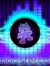 猫 夜