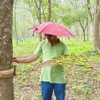 লিন্টন শইকীয়া