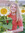 Ashlyn Pettit