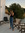 Eline de Gelder | 4 comments