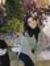 Manal S...