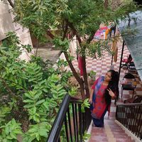 வித்யா பலராமன்