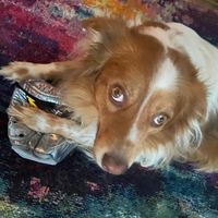 Amber Bratten Andersen