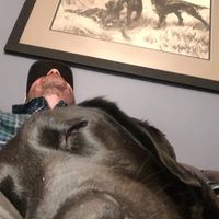 Steve Niles