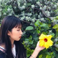 Trang Nguyễn