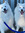 Florina | 1 comments