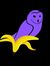 wisepeel