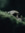 Soren C...