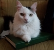 Katherine