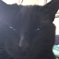 Zaiba Moolla