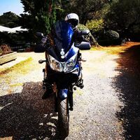 Δημήτρης Μιχαλάκης