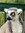 Komor Bob