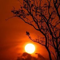 রাব্বুল বাইত