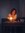 Kate Shubin