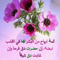 Amel Elhawary