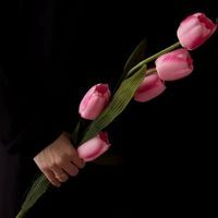 حسناء إبراهيم.