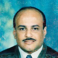 Tameer Adel