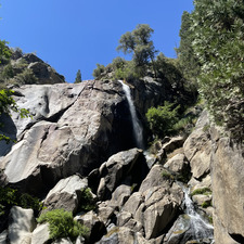 سلمان المعشوق