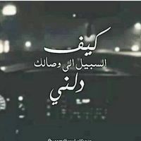 سنلتقي يوما