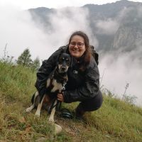 Jacqueline Pavanello