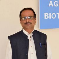 Muhammad Afzal