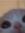 hannah
