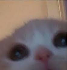 hannah