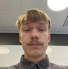 kvamleik