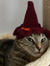 Dorothy