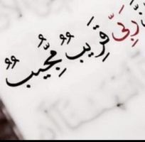 بشير المدني