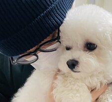 nat⁠ ᵕ⁠༚⁠ᵕ