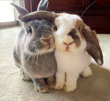 BooksFrames on Youtube