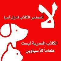 Maged Gbreal