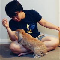 yoggy  wei