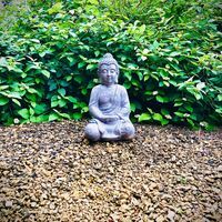 Bert Van Puyenbroeck