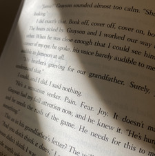 Alyssa&#x1f98b; (Taylor’s version)