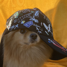 Ольга Глушкова