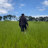 Hưng Trần