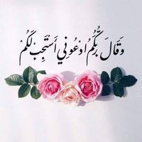 Mahmoud Mahdy