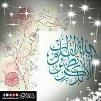 Amr Alsheikh
