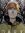 Ruben Shr