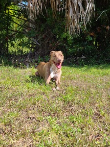 Riley