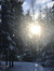 HAILEY V