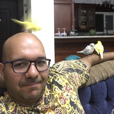 Mohammed Elhendawy