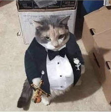 Mimi