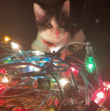 Marissa Cisneros ❤️