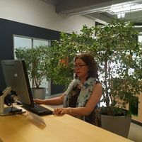 Мэргэшсэн Зөвлөх